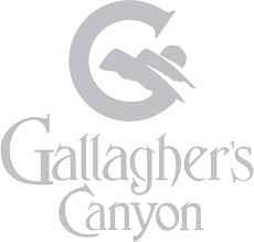 Logo 0
